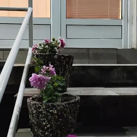 Todorovic * 雅戈丁那