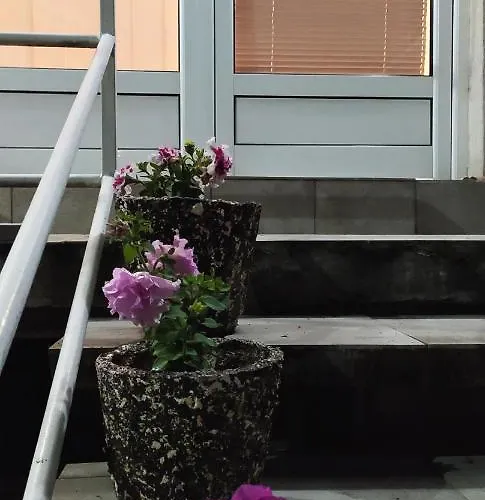 Todorovic * Jagodina